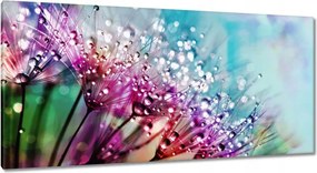 Képek 115x55 Harmatcseppek Gyermekláncfű