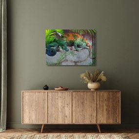 Kép - kaméleon (üvegen) (70x50 cm)