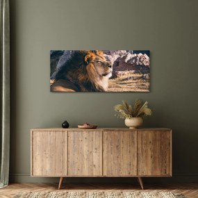 Egy fekvő oroszlán képe (120x50 cm)