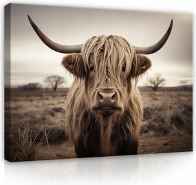 Vászon Falikép Skót Tehén Modern Nappali Hálószoba 40x30
