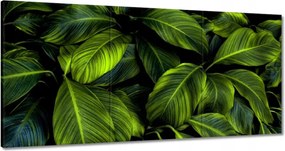 Vászonkép 60x30 Gyönyörű zöld levelek
