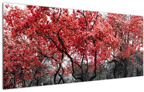 Kép - vörös fák, Central Park, New York (120x50 cm)