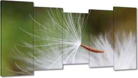 Vászonkép 150x80 Pitypang Virág Virágok