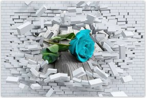 Poszterek 90x60 Kék rózsa a deszkákon