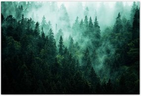Poszterek 185x125 Erdő Köd Tájkép Utazás
