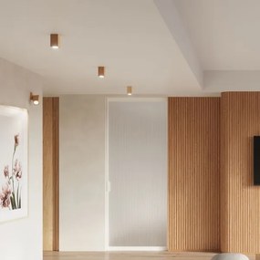 Sollux SL.1040 - Spotlámpa KEKE 1xGU10/40W/230V 10 cm tölgy