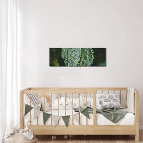 Kép - cseppek a levelen (órával) (90x30 cm)