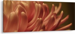 A virág részletének képe (120x50 cm)