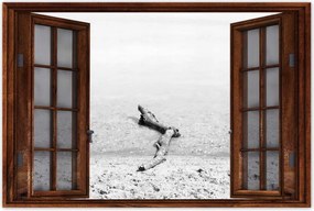 Poszterek 120x80 Gyökér tengerpart Gyökér víz