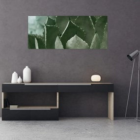 Kép - Zöld agávé (120x50 cm)