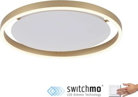 ZUMA LINE 15391-60 RITUS Kerek Mennyezeti Lámpa Sárgaréz LED IP20