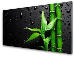 Fali üvegkép Bambusz levelek Plant 100x50 cm 2 fogas