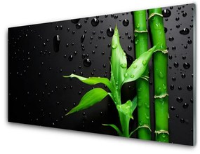 Fali üvegkép Bambusz levelek Plant 100x50 cm