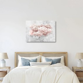 Kép - Rózsaszín virágok a falon (üvegen) (70x50 cm)