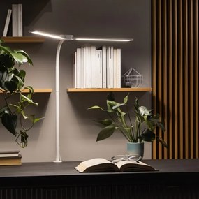 Brilagi - Fényerőszabályozható LED asztali lámpa USB VARIO LED/14W/5V 3000-6000K fehér