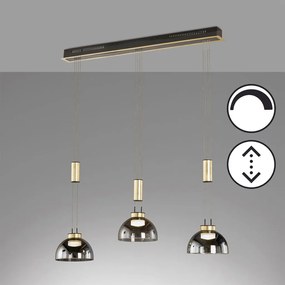 Fischer&amp;Honsel Avignon 61014 Lepel lámpa 3x9W/LED 2700K 2900 lm IP20