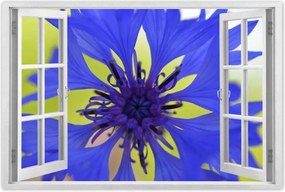 Poszterek 60x40 Chaber