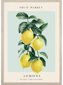 Levitaiting lemons kép