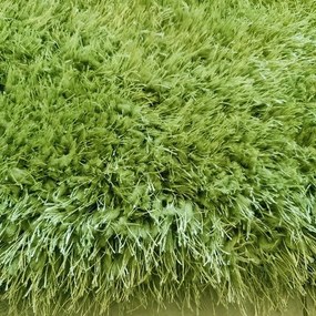 Viktorina Zöld Shaggy Futószőnyeg 80 x 300 cm