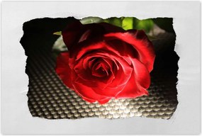 Poszterek 90x60 Érdekes ötlet