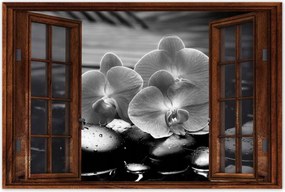 Poszterek 90x60 Orchideák a köveken