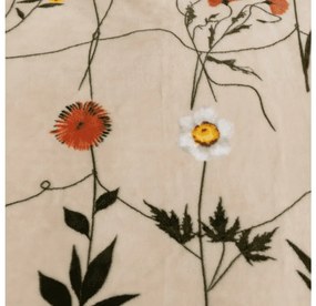 Mikroplüss pléd HERBÁŘ, bézs Méret: 200 x 220 cm