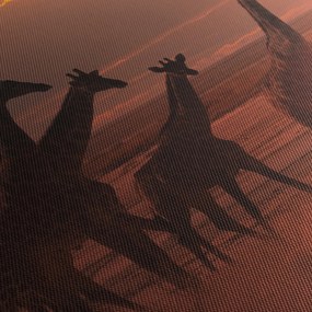 Kép - Zsiráfok az afrikai szavannán (120x50 cm)