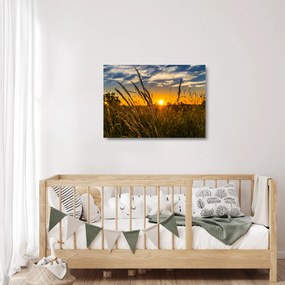 A mező naplementekor képe (üvegen) (70x50 cm)