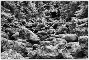 Poszterek 120x80 Tátra Lengyel hegyek Kilátás