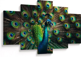 Kép – Pávatoll (150x105 cm)