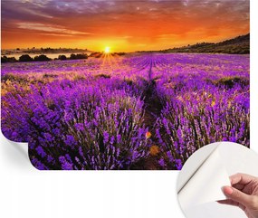 Modern öntapadós fali fotótapéta Levendula nyugat 152x104 cm