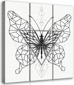Vászonkép 90x100 Geometrikus pillangó moduláris triptichon minimalizmus művészet