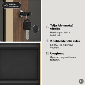 Fém szekrény vitrinnel, antracit, dió, 900x1850x400 mm: AMELIA Eco Design