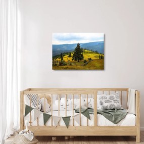 Kép - Hegyi rét (üvegen) (70x50 cm)