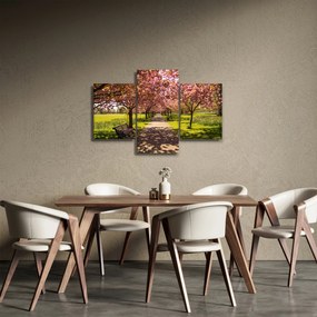 Kép - cseresznye ültetvény (90x60 cm)