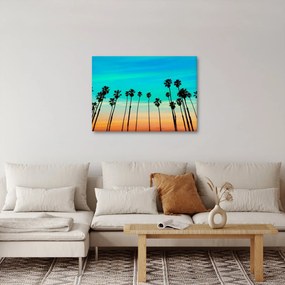 Kép - Kalifornia (70x50 cm)