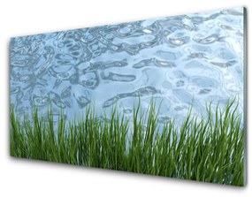 Modern üvegkép Víz Grass Nature 120x60cm 2 fogas