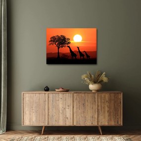 Zsiráfok képe naplementekor (70x50 cm)