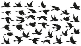 Fanastick Birds in Flight öntapadós falmatrica - Ambiance
