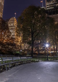 Poszter 29,7x42cm Esti kilátás a New York-i Central Parkra 4, Assaf Fra