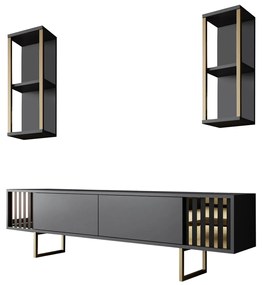 TV szekrény Gold Line - Anthracite, Black