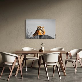 Kép - Tigris és a kölyke, fekete-fehér változat (90x60 cm)