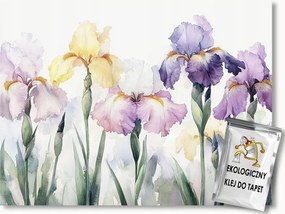 Fotótapéta Flizelina Kert Színes Virágok Írisz Kastély 250x175 ragasztó