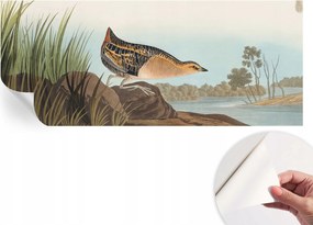 Dekoratív Öntapadós Tapéta Divatos Minták Természetes jelenet 250x104 cm