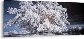 Kép - Hófehérke fa (120x50 cm)