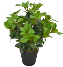zöld, cserepes műbabérfa 40 cm