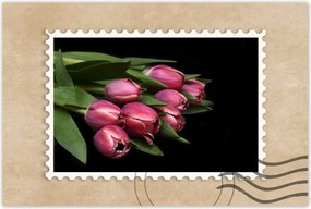 Poszterek 90x60 Zamatos tulipánok