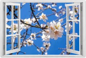 Poszter 60x40 Almafa virág