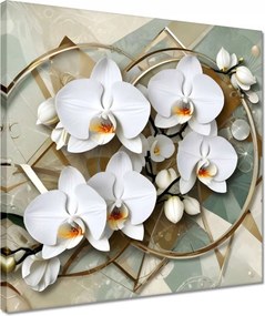 Vászonkép 40x40 Virág dekoráció