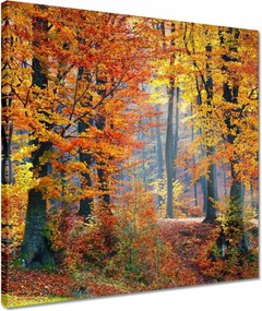 Vászonkép 40x40 Arany ősz